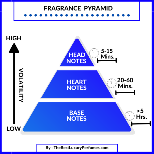Pirámide Olfativa del Perfume Coco Chanel Nº 5 Eau de Parfum 100ml, Olfactory Pyramid of Coco Chanel Perfume Nº 5 Eau de Parfum 100ml